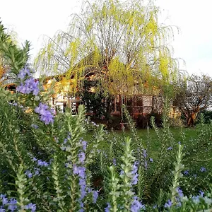 Casa vacanze Podere Piandarca 